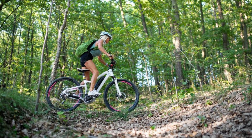 A low angle view of active senior woman biker cycling outdoors in forest